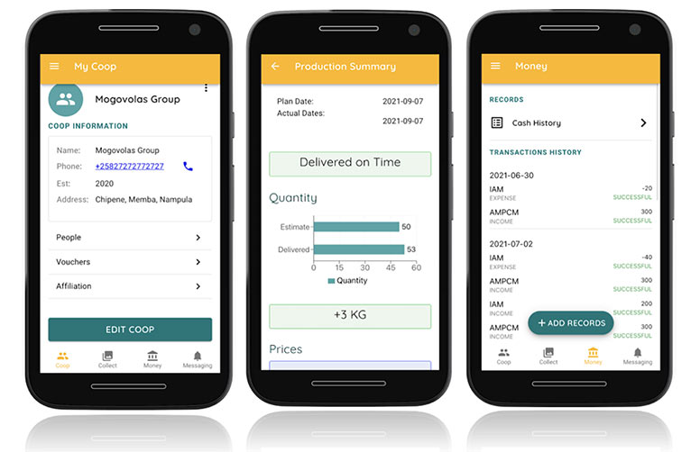 2021 Winner: hiveonline