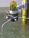 Kilroy: Wireless Marine Conservation Change Agent