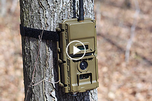 Poacher Cam