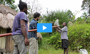 Community Cellular Networks