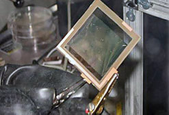 2009 Winner: EnHANTs